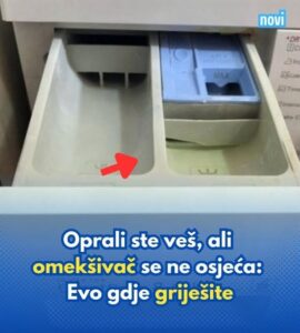 719883954_1457397543080989_684550695878017856_n (1)
