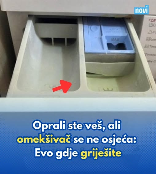 719883954_1457397543080989_684550695878017856_n (1)