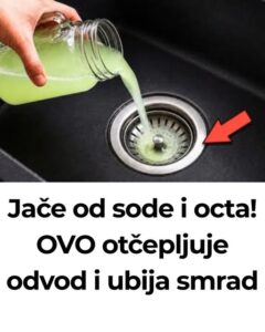 742771012_2113650259184781_4140447721686053302_n